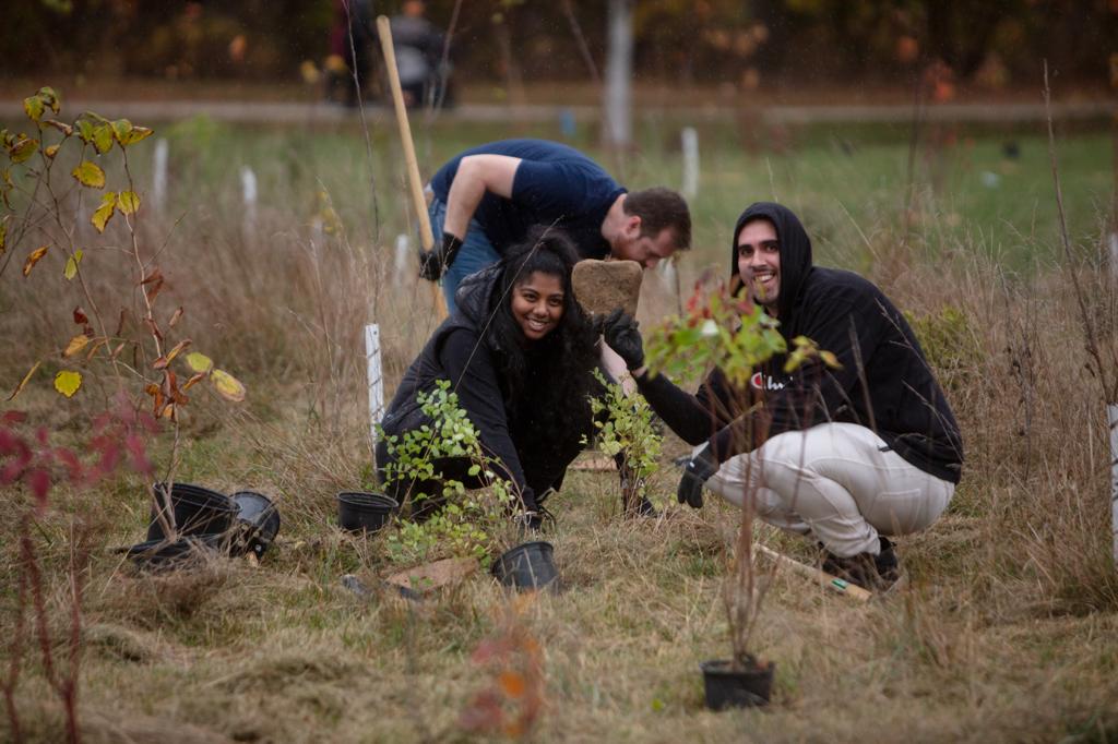 Bluebird Assurance team planting trees in Ontario